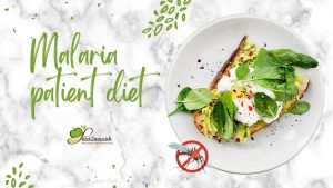 malaria patient diet