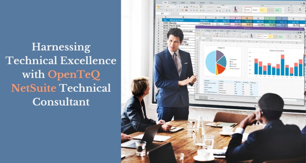 NetSuite Technical Consultant
