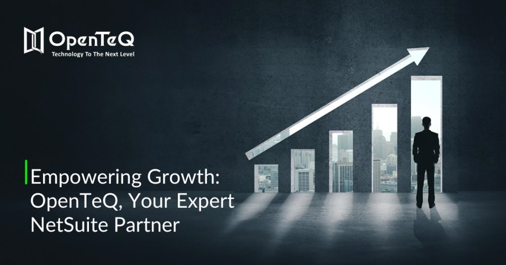 NetSuite Partner