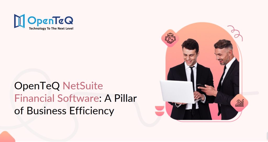 NetSuite Support Services