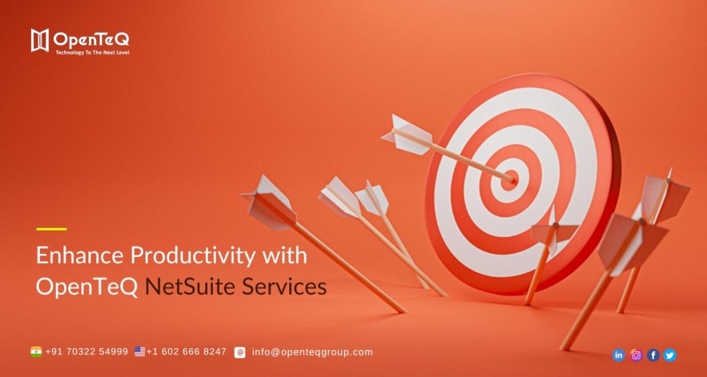 OpenTeQ NetSuite Services
