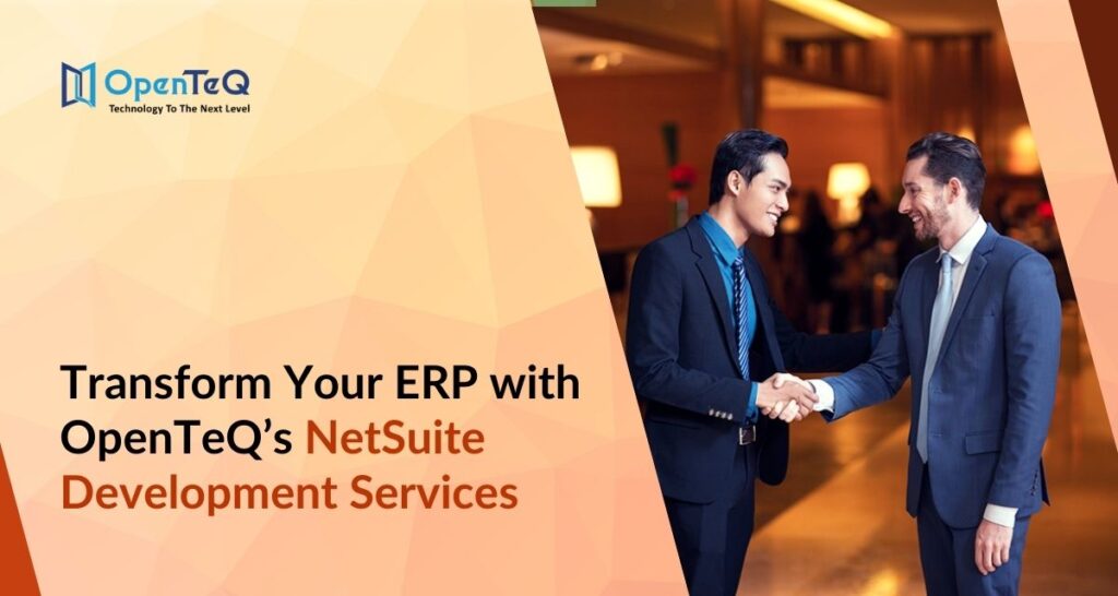 NetSuite Development Services